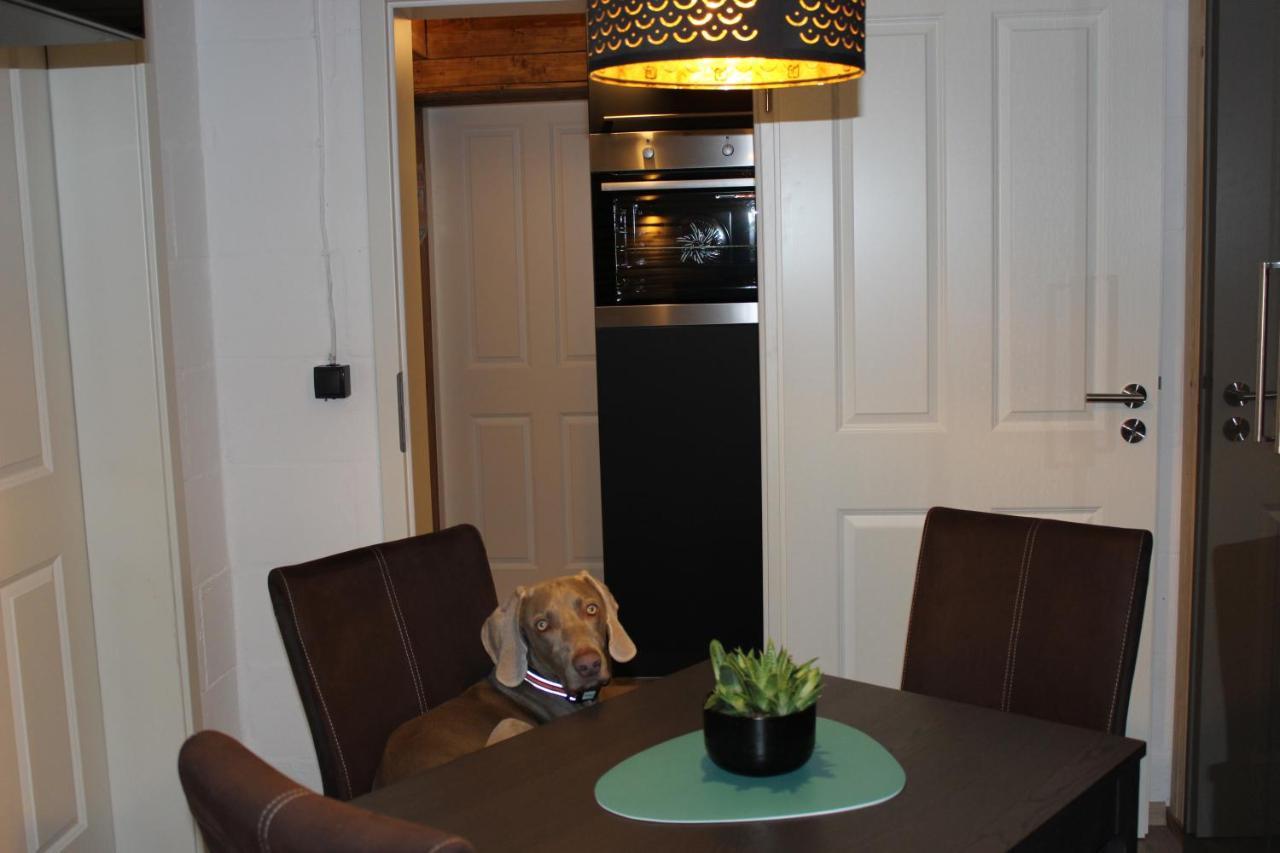 Kleine Souterrain Wohnung Naehe Hamburg 노이불름슈토르프 외부 사진